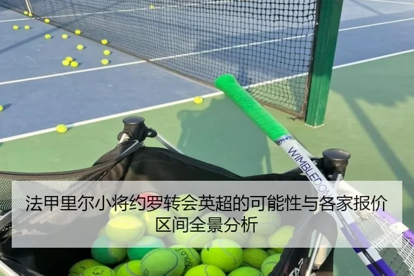 法甲里尔小将约罗转会英超的可能性与各家报价区间全景分析